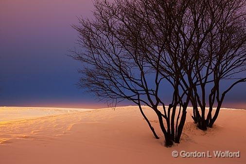 First Light Snowscape_12142-3.jpg - Photographed at Ottawa, Ontario - the capital of Canada.